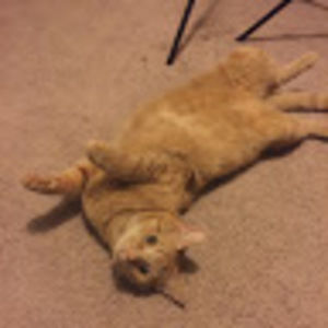 Meet your Posher, Jacob